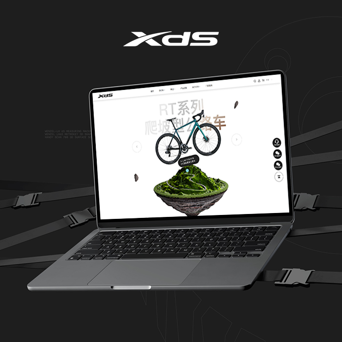 喜德盛 案例图片